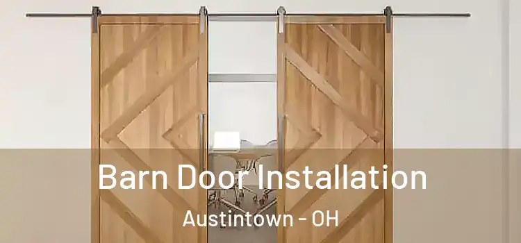 Barn Door Installation Austintown - OH
