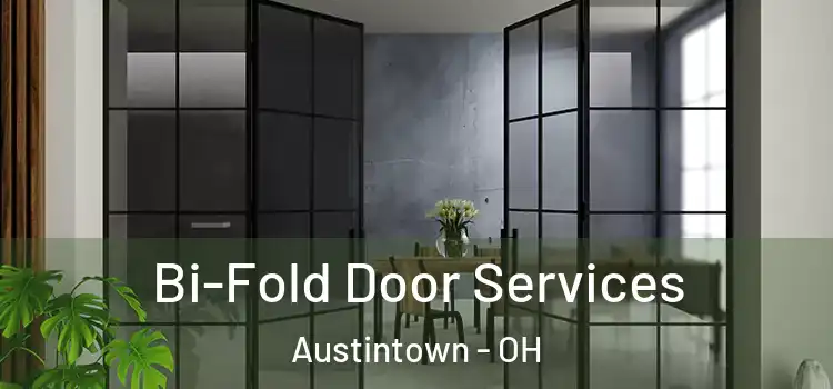 Bi-Fold Door Services Austintown - OH
