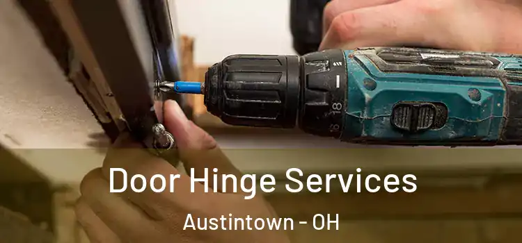 Door Hinge Services Austintown - OH