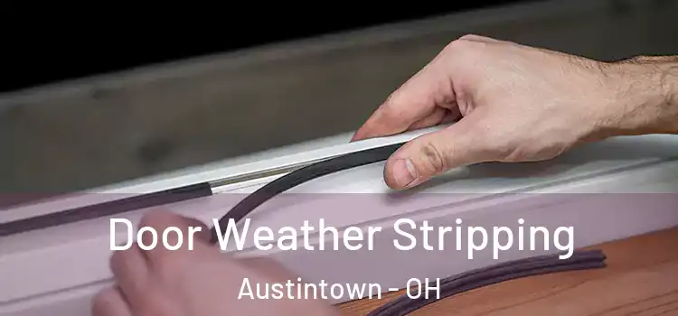 Door Weather Stripping Austintown - OH