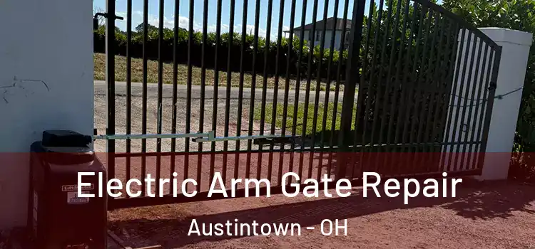 Electric Arm Gate Repair Austintown - OH