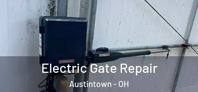 Electric Gate Repair Austintown - OH