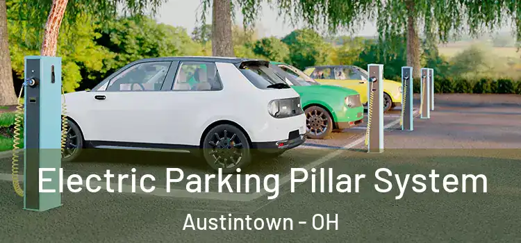 Electric Parking Pillar System Austintown - OH