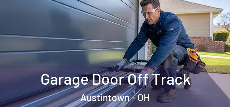  Garage Door Off Track Austintown - OH