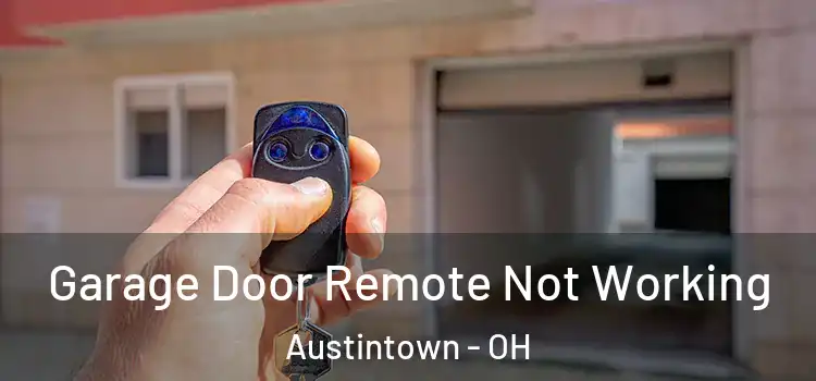  Garage Door Remote Not Working Austintown - OH