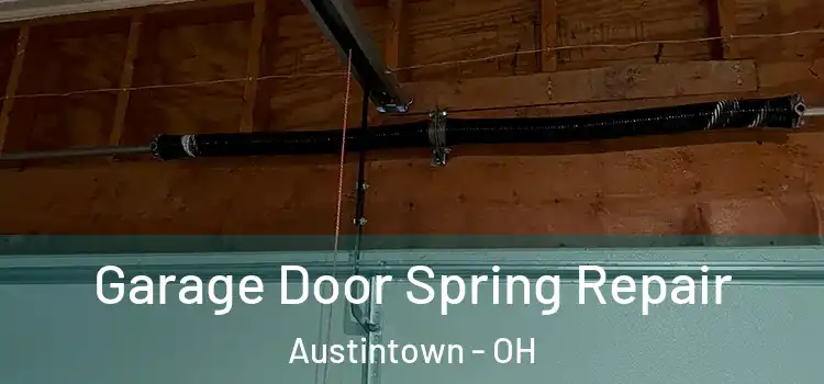  Garage Door Spring Repair Austintown - OH