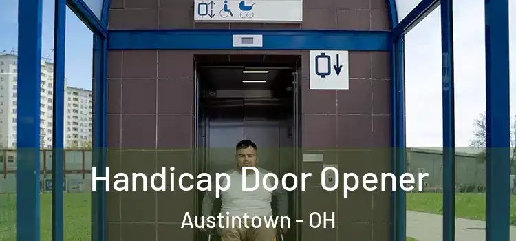 Handicap Door Opener Austintown - OH