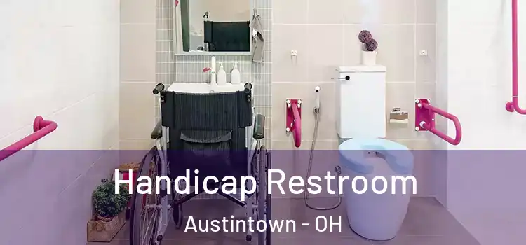 Handicap Restroom Austintown - OH