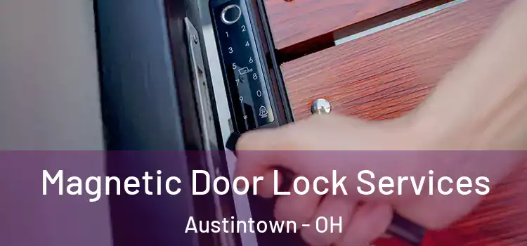 Magnetic Door Lock Services Austintown - OH
