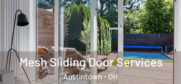 Mesh Sliding Door Services Austintown - OH
