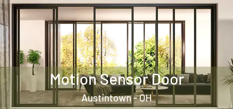  Motion Sensor Door Austintown - OH