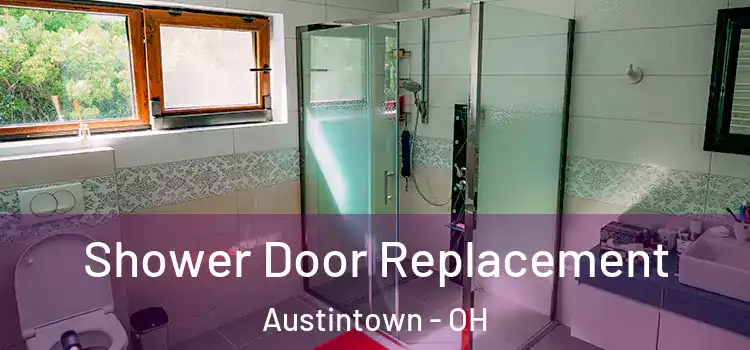 Shower Door Replacement Austintown - OH
