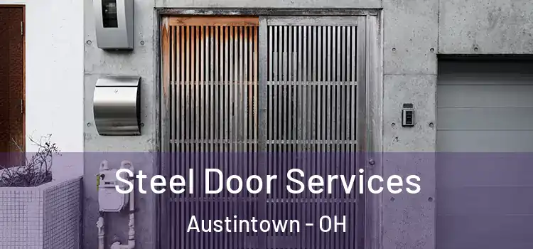 Steel Door Services Austintown - OH