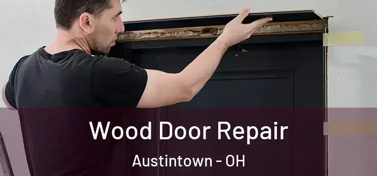 Wood Door Repair Austintown - OH